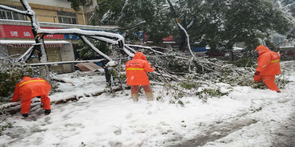 新站区道路清扫保洁、绿化管养项目