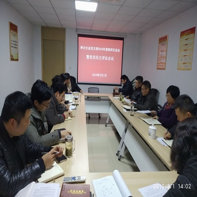 和合生态党支部召开2018年度组织生活会