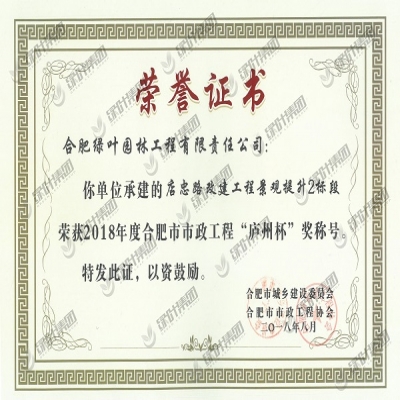 绿叶公司喜获2018年度“庐州杯”奖