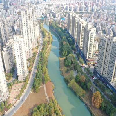 “广玉兰”花落丁岗河