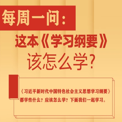 这本《学习纲要》该怎么学?