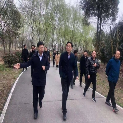 合肥市副市长王民生调研绿叶生态园