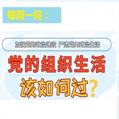 党的组织生活该如何过?