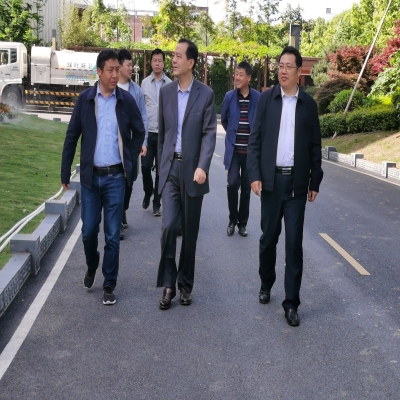 汪斌赴和合生态绿叶集团调研工作