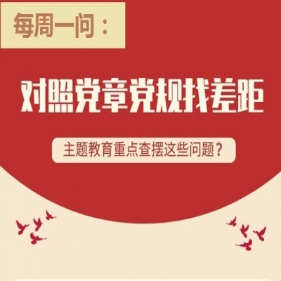 主题教育重点查摆哪些问题?