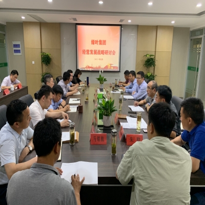 绿叶集团召开1-5月经济形势分析会暨战略研讨会