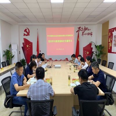 和合生态党支部召开党史学习教育第四次专题学习