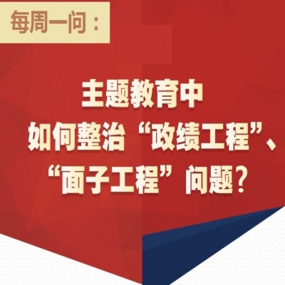 主题教育中如何整治“政绩工程”、“面子工程”问题?