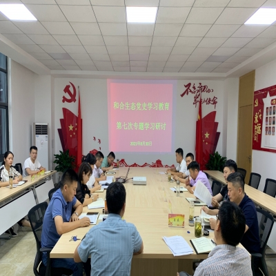和合生态党支部召开党史学习教育第七次专题学习研讨