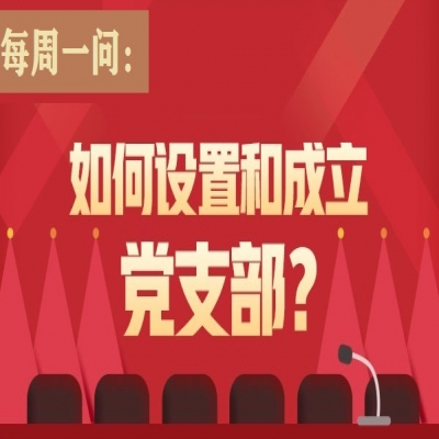如何设置和成立党支部?