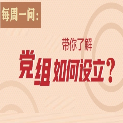 党组如何设立?