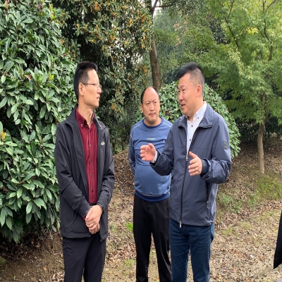 蜀山区领导彭兆耀率队赴小庙基地检查指导