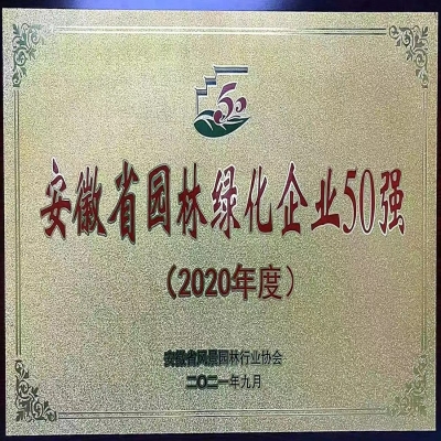 绿叶集团连续三年荣获“安徽省园林绿化企业50强”称号——2021年度安徽省园林绿化行业评比结果揭晓