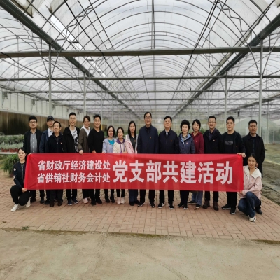 安徽省供销社财务会计处与省财政厅经济建设处到绿叶集团生态园开展党支部共建活动