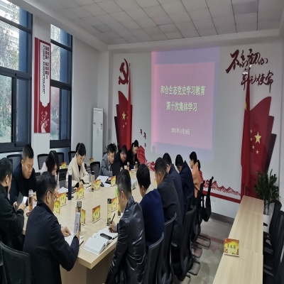 认真学习贯彻党的十九届六中全会精神  在新时代新征程上展现新气象新作为