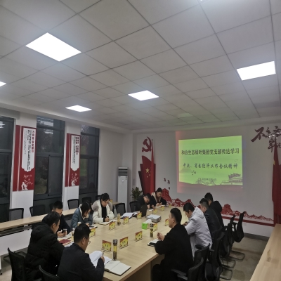 和合生态绿叶集团党支部传达学习 中央、省委经济工作会议精神