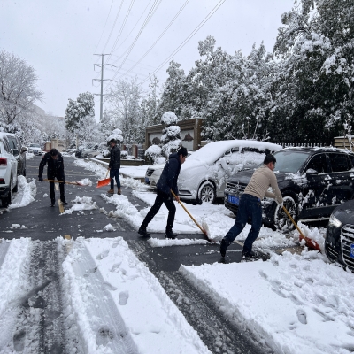 破冰除雪 我们在行动! ——绿叶集团党团员清扫园区积雪