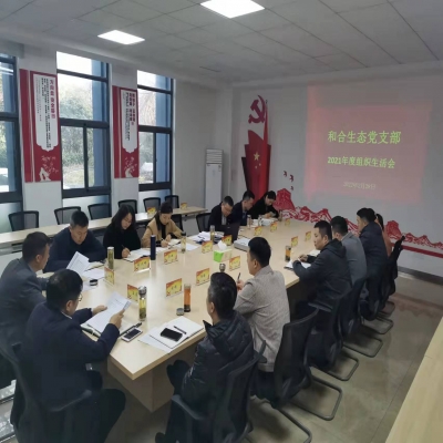 和合生态党支部召开2021年度组织生活会