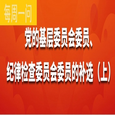 党的基层委员会委员、记录检查委员会委员的补选(上)