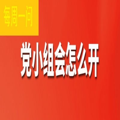 党小组会怎么开?
