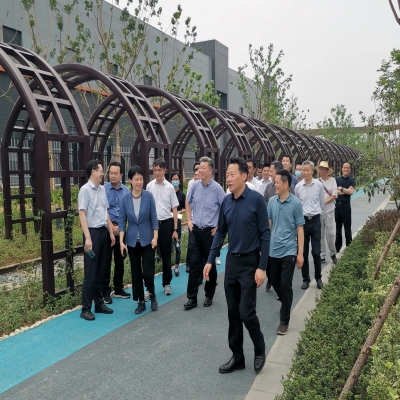 虞爱华视察绿叶集团承建的南门库景区项目