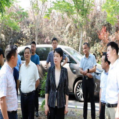 蜀山区委书记王海霞视察绿叶集团小庙基地