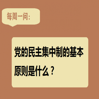 党的民主集中制的基本原则是什么?