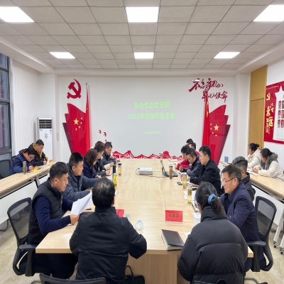 和合生态党支部召开2022年度组织生活会