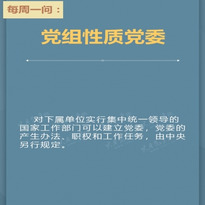 党组怎么理解?