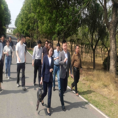 合肥绿叶生态园,一个“沉下去”的好地方