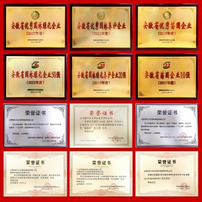 提升资信拓空间  创新发展赋新能