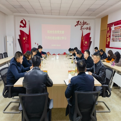和合生态党支部组织开展11月份政治理论学习