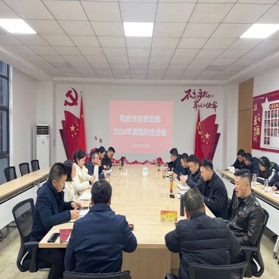 和合生态党支部召开年度组织生活会