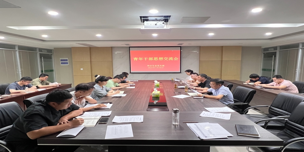绿叶集团组织召开青年干部思想交流会